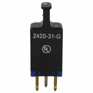 2420-31-G Image