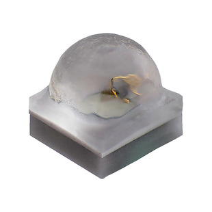 XQAGRN-00-0000-000000301 Image
