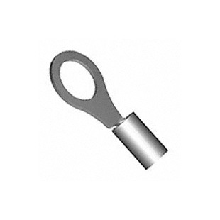 321891 Image