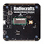 RIIM DEVELOPMENT BOARD